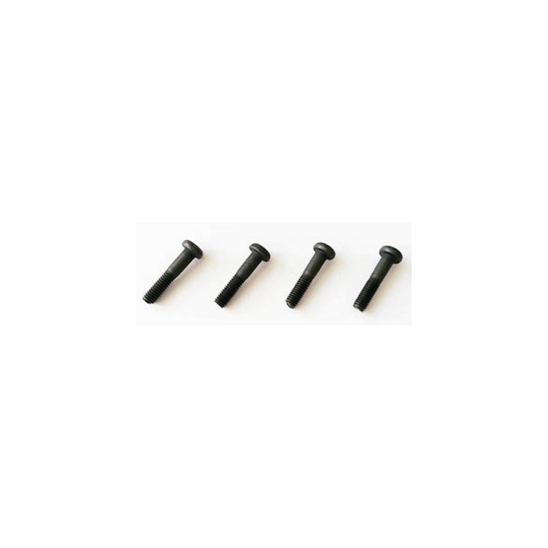 Vis de frein 3x14mm