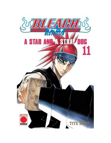 Bleach Bestseller – Tome 11