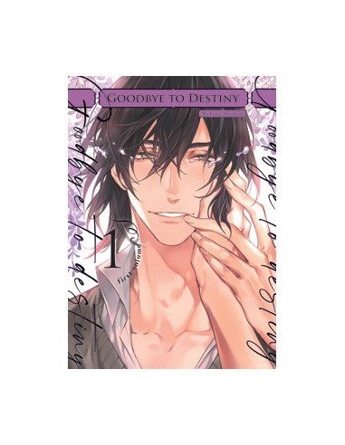 Goodbye to Destiny – Tome 1
