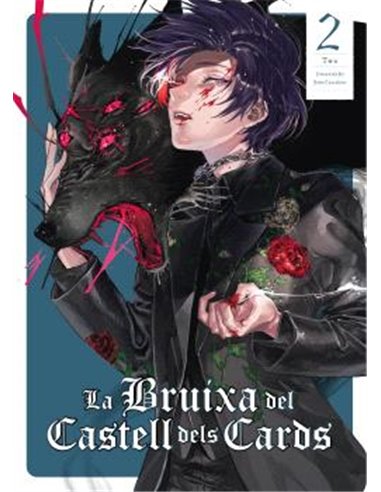 La Bruixa del Castell Dels Cards Vol.02 (catalan) – Manga