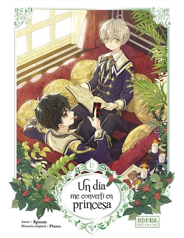 Un Dia Me Converti en Princesa – Tome 2