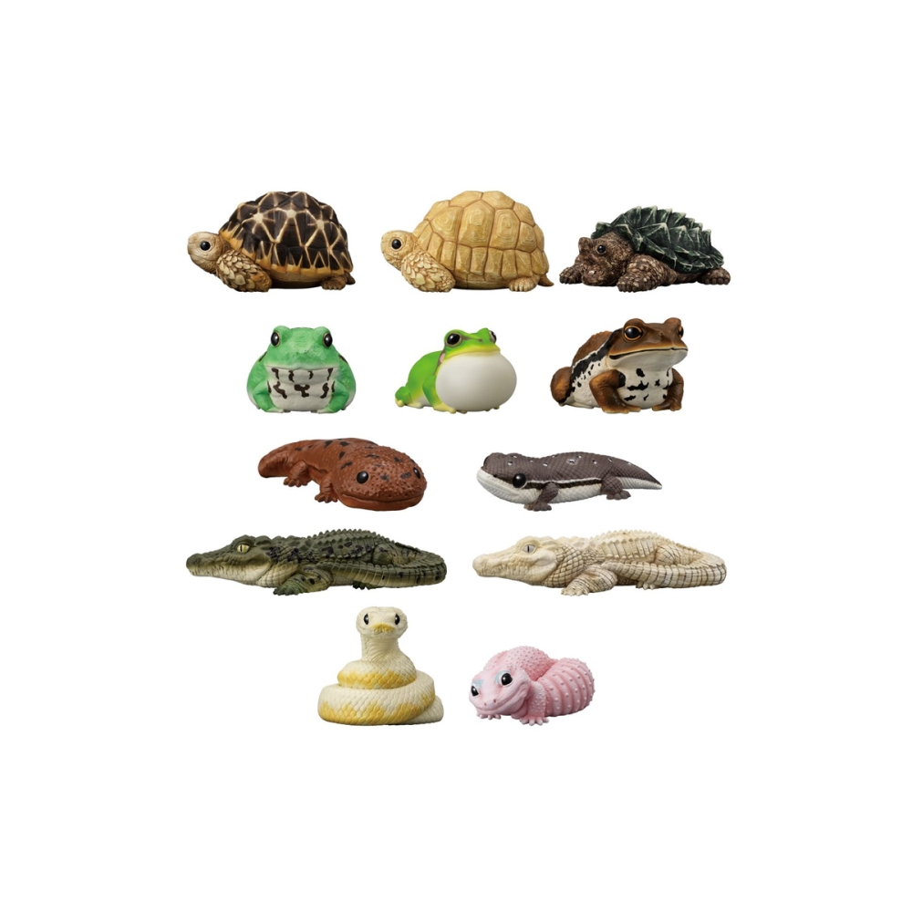 Tenori Friends - Mystery Box Serie 12 Assortiment 12 pièces