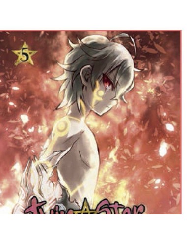 Twin Star Exorcists Onmyouji – Tome 5