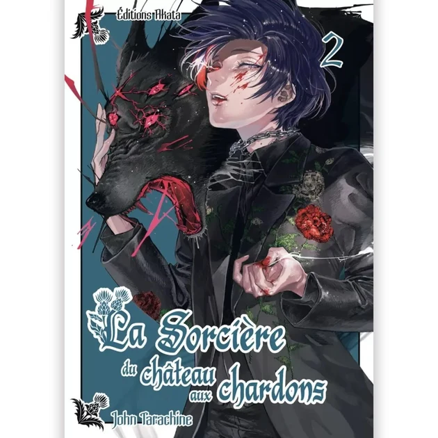 La Sorcière du Château aux Chardons - Tome 02