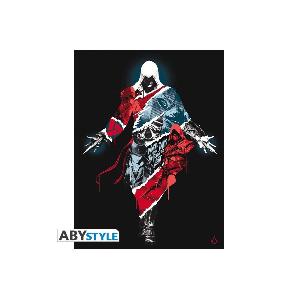 Toile Assassin's Creed Legacy 30 x 40 cm
