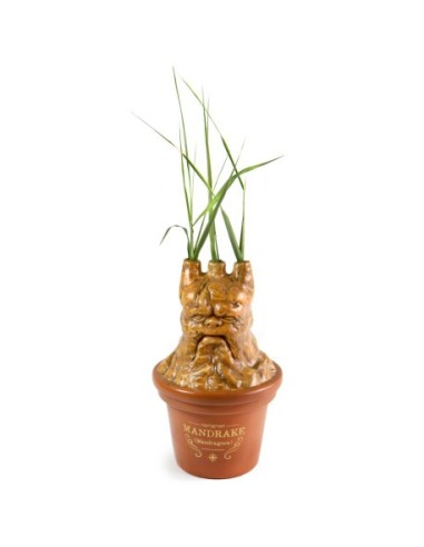 Tarro Multiusos Harry potter Mandragora – Collection