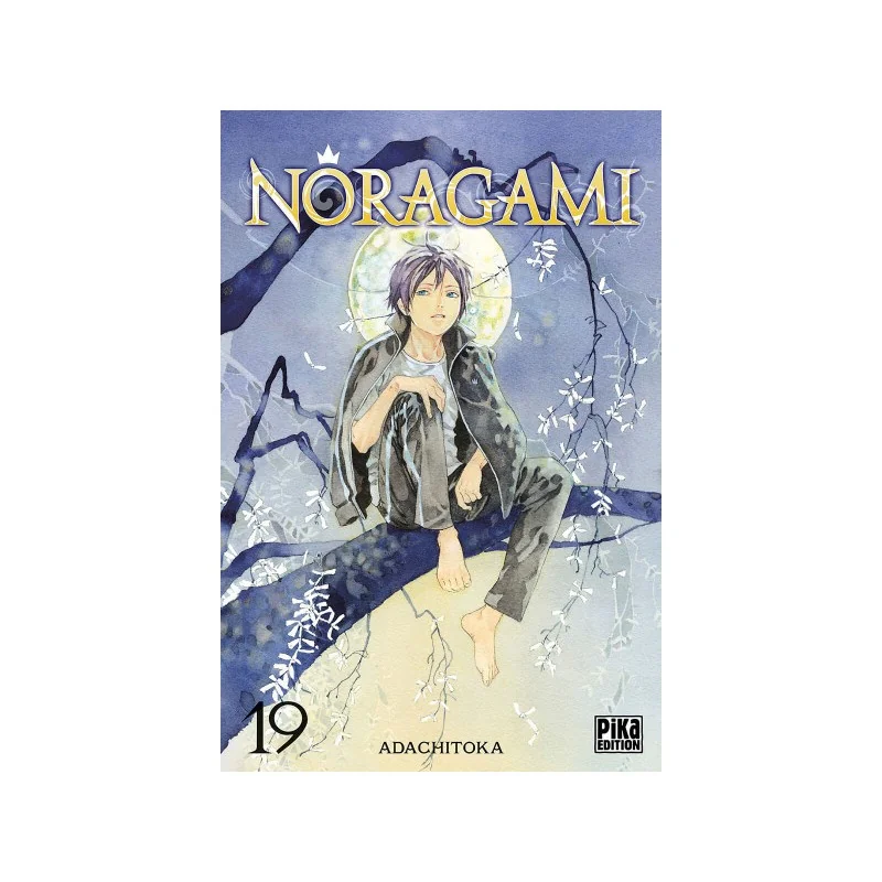Noragami Tome 19
