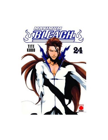Bleach Maximum – Tome 24